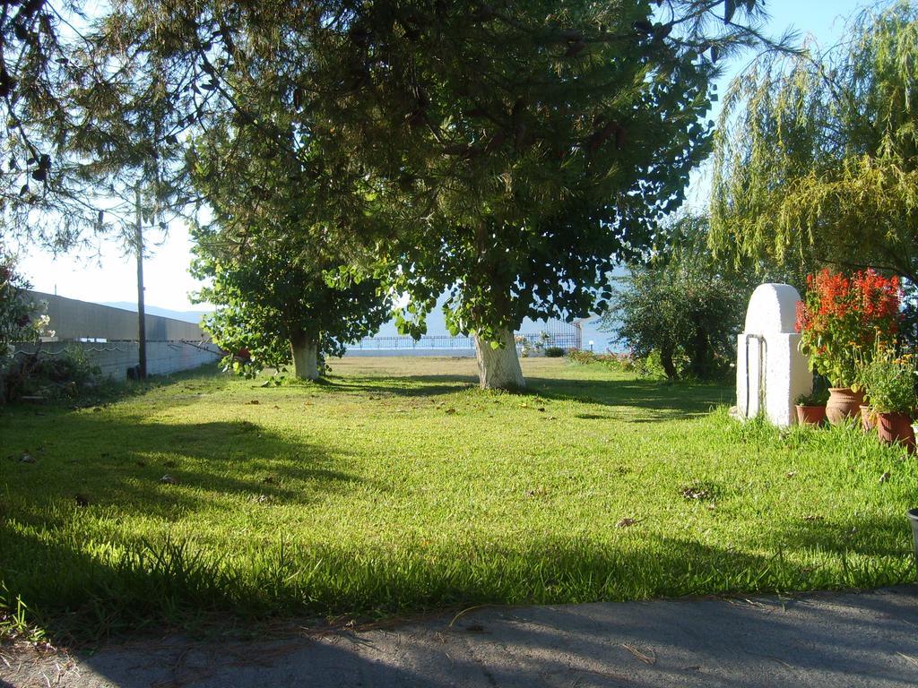 Apartments Skardoutsou Agiokampos  Bagian luar foto